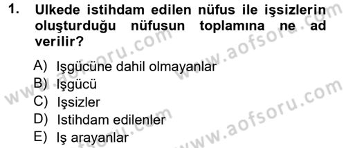 İstihdam ve İşsizlik Dersi 2012 - 2013 Yılı (Vize) Ara Sınav Soruları 1. Soru