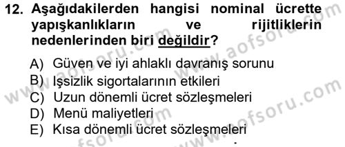 İstihdam ve İşsizlik Dersi 2012 - 2013 Yılı (Vize) Ara Sınav Soruları 12. Soru