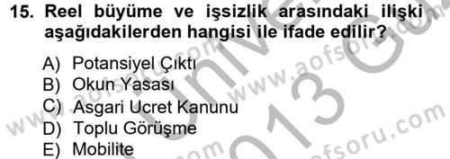 İstihdam ve İşsizlik Dersi 2012 - 2013 Yılı (Vize) Ara Sınav Soruları 15. Soru