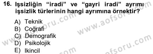 İstihdam ve İşsizlik Dersi 2012 - 2013 Yılı (Vize) Ara Sınav Soruları 16. Soru