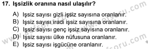 İstihdam ve İşsizlik Dersi 2012 - 2013 Yılı (Vize) Ara Sınav Soruları 17. Soru
