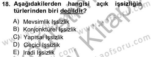 İstihdam ve İşsizlik Dersi 2012 - 2013 Yılı (Vize) Ara Sınav Soruları 18. Soru