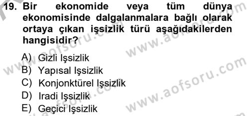 İstihdam ve İşsizlik Dersi 2012 - 2013 Yılı (Vize) Ara Sınav Soruları 19. Soru