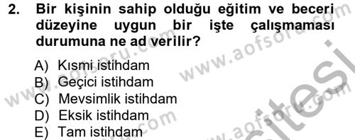 İstihdam ve İşsizlik Dersi 2012 - 2013 Yılı (Vize) Ara Sınav Soruları 2. Soru