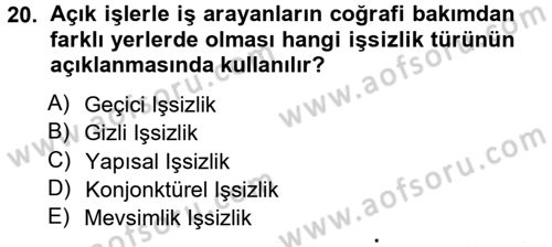 İstihdam ve İşsizlik Dersi 2012 - 2013 Yılı (Vize) Ara Sınav Soruları 20. Soru