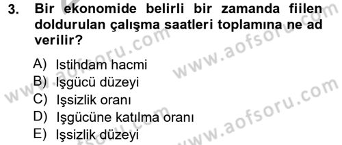 İstihdam ve İşsizlik Dersi 2012 - 2013 Yılı (Vize) Ara Sınav Soruları 3. Soru