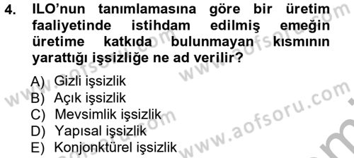 İstihdam ve İşsizlik Dersi 2012 - 2013 Yılı (Vize) Ara Sınav Soruları 4. Soru
