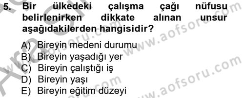 İstihdam ve İşsizlik Dersi 2012 - 2013 Yılı (Vize) Ara Sınav Soruları 5. Soru