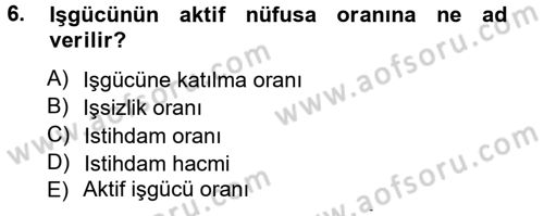 İstihdam ve İşsizlik Dersi 2012 - 2013 Yılı (Vize) Ara Sınav Soruları 6. Soru