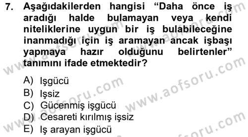 İstihdam ve İşsizlik Dersi 2012 - 2013 Yılı (Vize) Ara Sınav Soruları 7. Soru