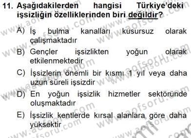 İstihdam ve İşsizlik Dersi 2012 - 2013 Yılı (Final) Dönem Sonu Sınav Soruları 11. Soru