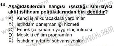 İstihdam ve İşsizlik Dersi 2012 - 2013 Yılı (Final) Dönem Sonu Sınav Soruları 14. Soru