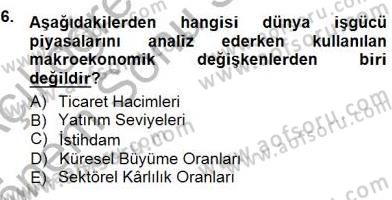 İstihdam ve İşsizlik Dersi 2012 - 2013 Yılı (Final) Dönem Sonu Sınav Soruları 6. Soru