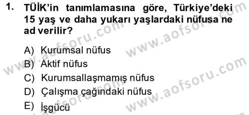İstihdam ve İşsizlik Dersi 2013 - 2014 Yılı (Vize) Ara Sınav Soruları 1. Soru