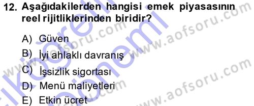 İstihdam ve İşsizlik Dersi 2013 - 2014 Yılı (Vize) Ara Sınav Soruları 12. Soru