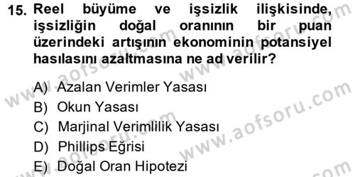 İstihdam ve İşsizlik Dersi 2013 - 2014 Yılı (Vize) Ara Sınav Soruları 15. Soru