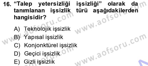 İstihdam ve İşsizlik Dersi 2013 - 2014 Yılı (Vize) Ara Sınav Soruları 16. Soru