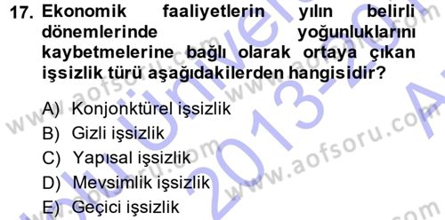 İstihdam ve İşsizlik Dersi 2013 - 2014 Yılı (Vize) Ara Sınav Soruları 17. Soru