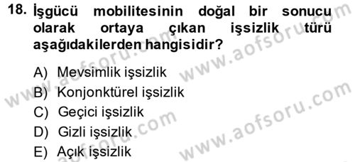 İstihdam ve İşsizlik Dersi 2013 - 2014 Yılı (Vize) Ara Sınav Soruları 18. Soru