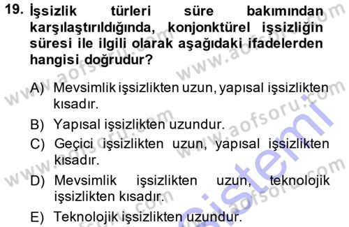 İstihdam ve İşsizlik Dersi 2013 - 2014 Yılı (Vize) Ara Sınav Soruları 19. Soru