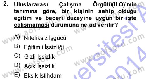 İstihdam ve İşsizlik Dersi 2013 - 2014 Yılı (Vize) Ara Sınav Soruları 2. Soru