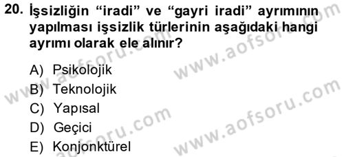 İstihdam ve İşsizlik Dersi 2013 - 2014 Yılı (Vize) Ara Sınav Soruları 20. Soru