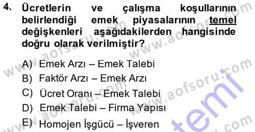 İstihdam ve İşsizlik Dersi 2013 - 2014 Yılı (Vize) Ara Sınav Soruları 4. Soru