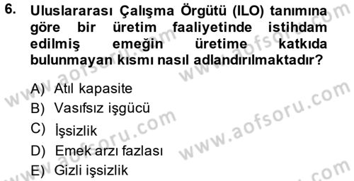 İstihdam ve İşsizlik Dersi 2013 - 2014 Yılı (Vize) Ara Sınav Soruları 6. Soru