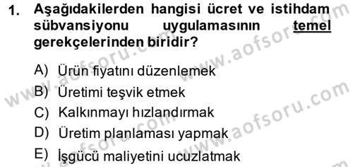 İstihdam ve İşsizlik Dersi 2013 - 2014 Yılı (Final) Dönem Sonu Sınav Soruları 1. Soru