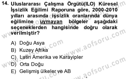 İstihdam ve İşsizlik Dersi 2013 - 2014 Yılı (Final) Dönem Sonu Sınav Soruları 14. Soru