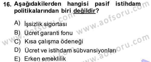 İstihdam ve İşsizlik Dersi 2013 - 2014 Yılı (Final) Dönem Sonu Sınav Soruları 16. Soru