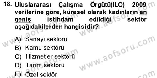 İstihdam ve İşsizlik Dersi 2013 - 2014 Yılı (Final) Dönem Sonu Sınav Soruları 18. Soru
