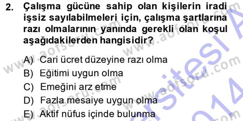 İstihdam ve İşsizlik Dersi 2013 - 2014 Yılı (Final) Dönem Sonu Sınav Soruları 2. Soru