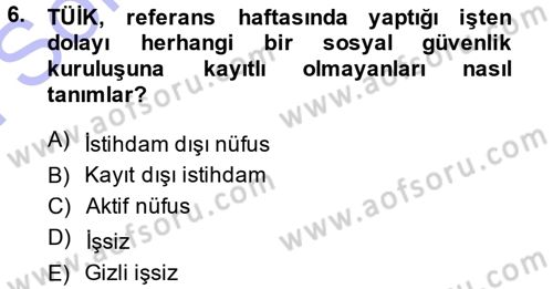 İstihdam ve İşsizlik Dersi 2013 - 2014 Yılı (Final) Dönem Sonu Sınav Soruları 6. Soru