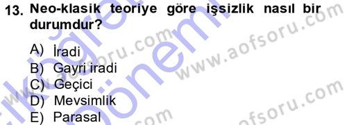 İstihdam ve İşsizlik Dersi 2014 - 2015 Yılı (Vize) Ara Sınav Soruları 13. Soru