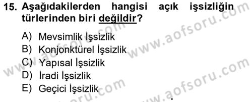 İstihdam ve İşsizlik Dersi 2014 - 2015 Yılı (Vize) Ara Sınav Soruları 15. Soru