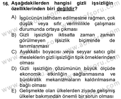 İstihdam ve İşsizlik Dersi 2014 - 2015 Yılı (Vize) Ara Sınav Soruları 16. Soru
