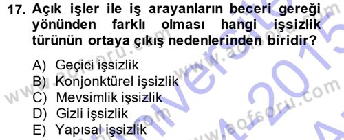 İstihdam ve İşsizlik Dersi 2014 - 2015 Yılı (Vize) Ara Sınav Soruları 17. Soru
