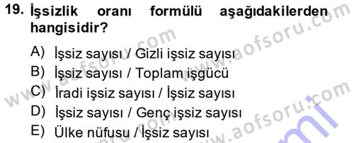 İstihdam ve İşsizlik Dersi 2014 - 2015 Yılı (Vize) Ara Sınav Soruları 19. Soru