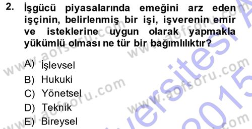 İstihdam ve İşsizlik Dersi 2014 - 2015 Yılı (Vize) Ara Sınav Soruları 2. Soru