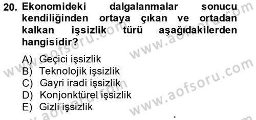 İstihdam ve İşsizlik Dersi 2014 - 2015 Yılı (Vize) Ara Sınav Soruları 20. Soru