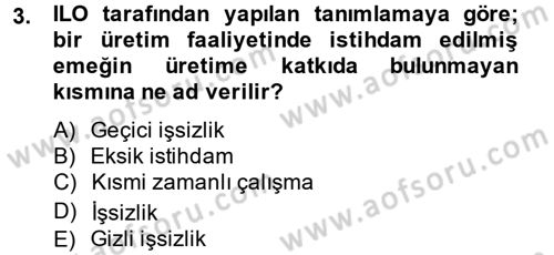 İstihdam ve İşsizlik Dersi 2014 - 2015 Yılı (Vize) Ara Sınav Soruları 3. Soru
