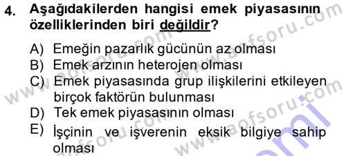 İstihdam ve İşsizlik Dersi 2014 - 2015 Yılı (Vize) Ara Sınav Soruları 4. Soru