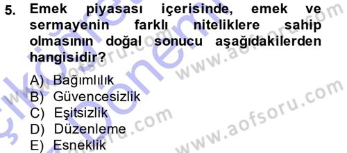 İstihdam ve İşsizlik Dersi 2014 - 2015 Yılı (Vize) Ara Sınav Soruları 5. Soru