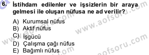 İstihdam ve İşsizlik Dersi 2014 - 2015 Yılı (Vize) Ara Sınav Soruları 6. Soru
