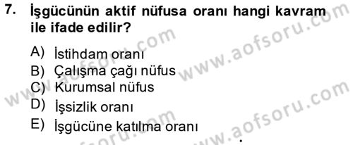 İstihdam ve İşsizlik Dersi 2014 - 2015 Yılı (Vize) Ara Sınav Soruları 7. Soru