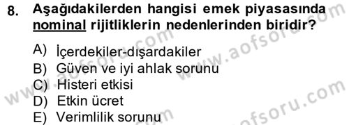 İstihdam ve İşsizlik Dersi 2014 - 2015 Yılı (Vize) Ara Sınav Soruları 8. Soru