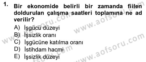 İstihdam ve İşsizlik Dersi 2014 - 2015 Yılı (Final) Dönem Sonu Sınavı 1. Soru
