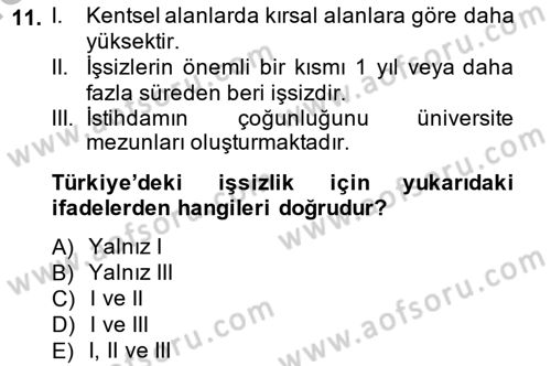 İstihdam ve İşsizlik Dersi 2014 - 2015 Yılı (Final) Dönem Sonu Sınavı 11. Soru