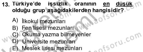 İstihdam ve İşsizlik Dersi 2014 - 2015 Yılı (Final) Dönem Sonu Sınavı 13. Soru